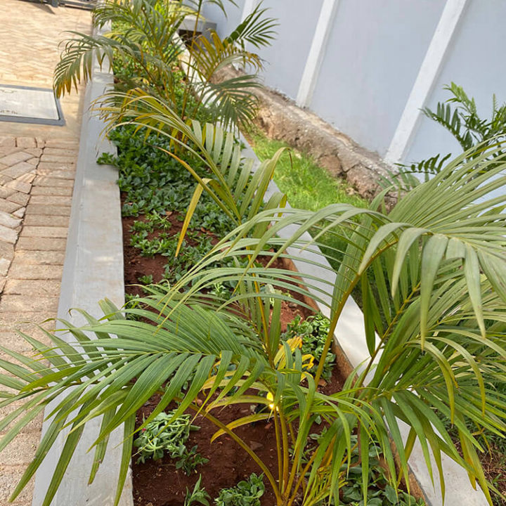 Landscaping Kenya