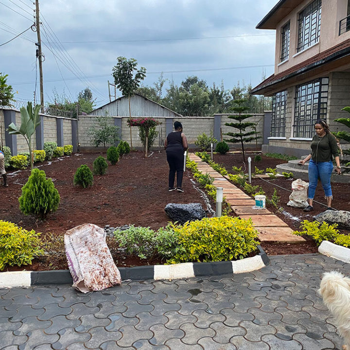 Landscaping Kenya