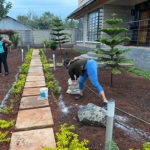 Landscaping Kenya