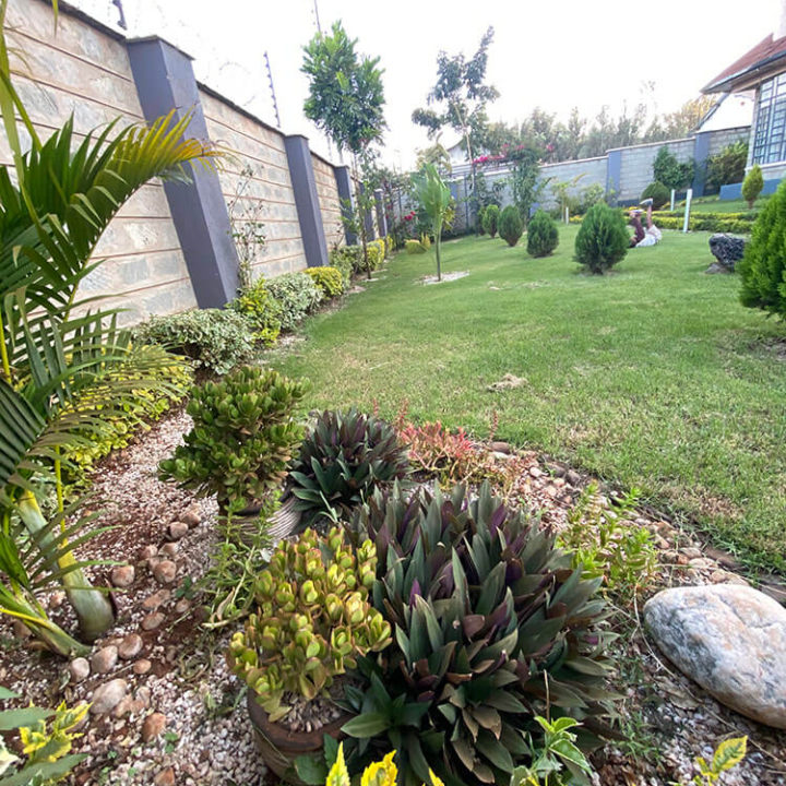 Landscaping Kenya